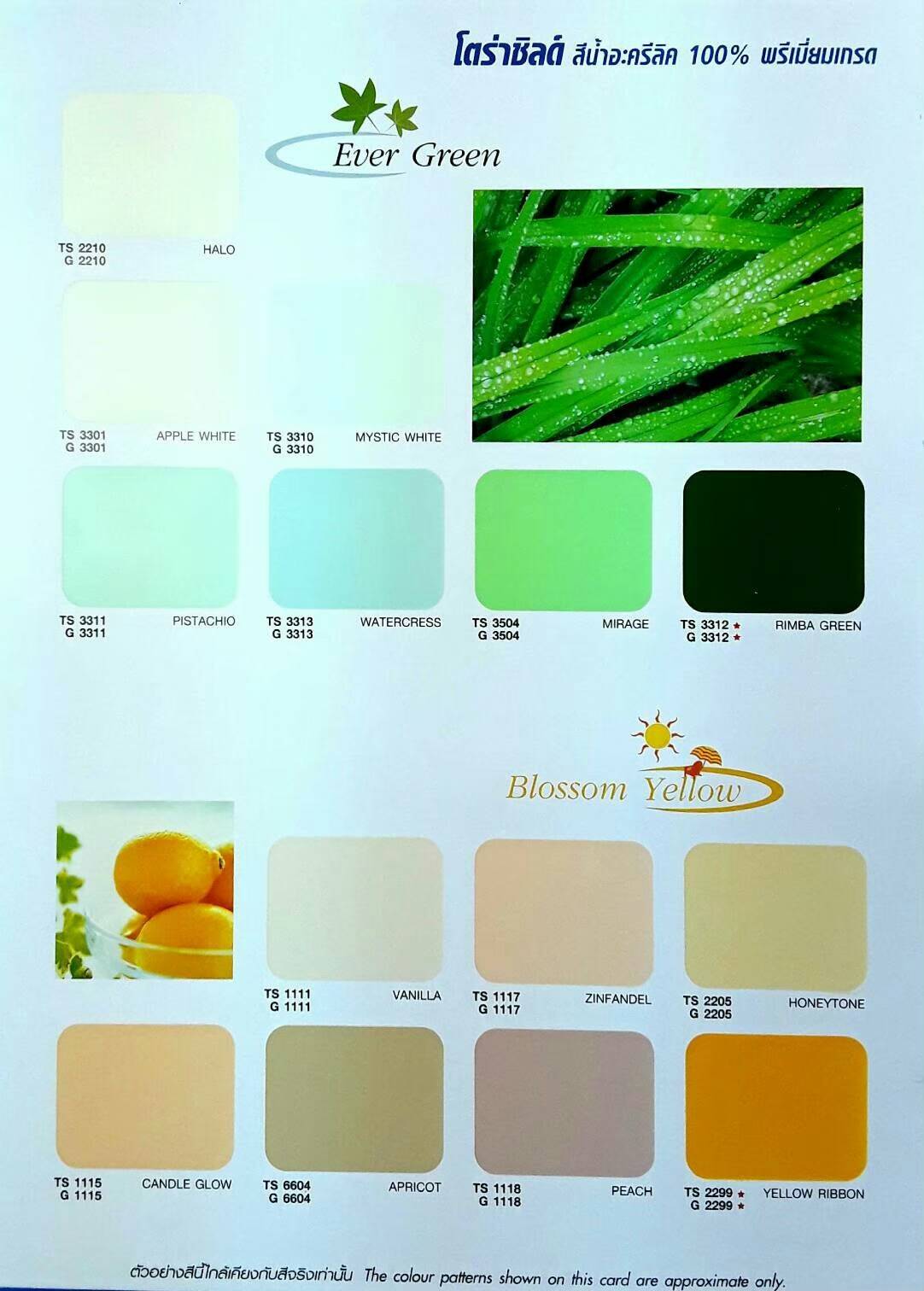 Tora Shield 100% Premium Acrylic Emulsion สีน้ำอะครีลิค (Sheen เนียน)