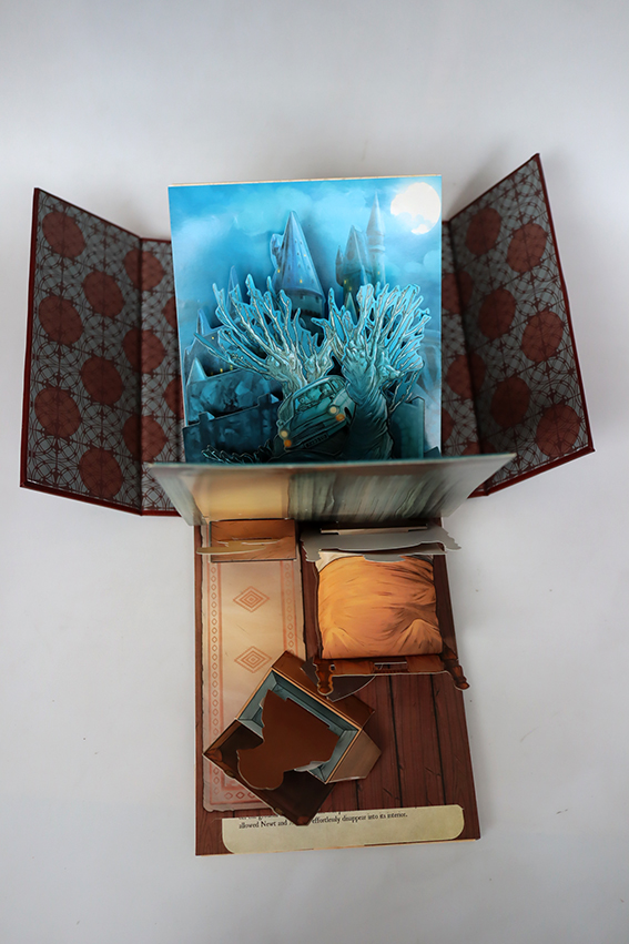 A Pop-up gallery of Curiosities