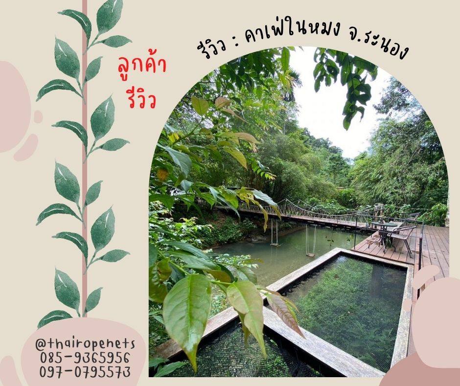 รุ่นหนา 2 ชั้น รุ่นยอดนิยมของคาเฟ่ ตาข่ายนั่งเล่น Black 2Layer ถักทอไร้ปม ส่งพร้อมเชือกมัดติดตั้ง