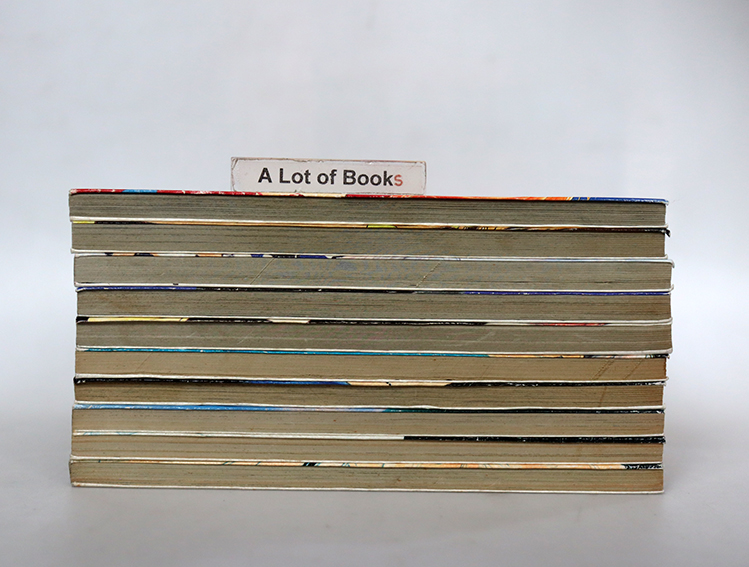 Wild Act สะดุดรักสาวจอมโจร ( 10 เล่มจบ )