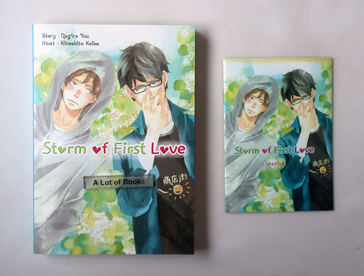 Storm of first love