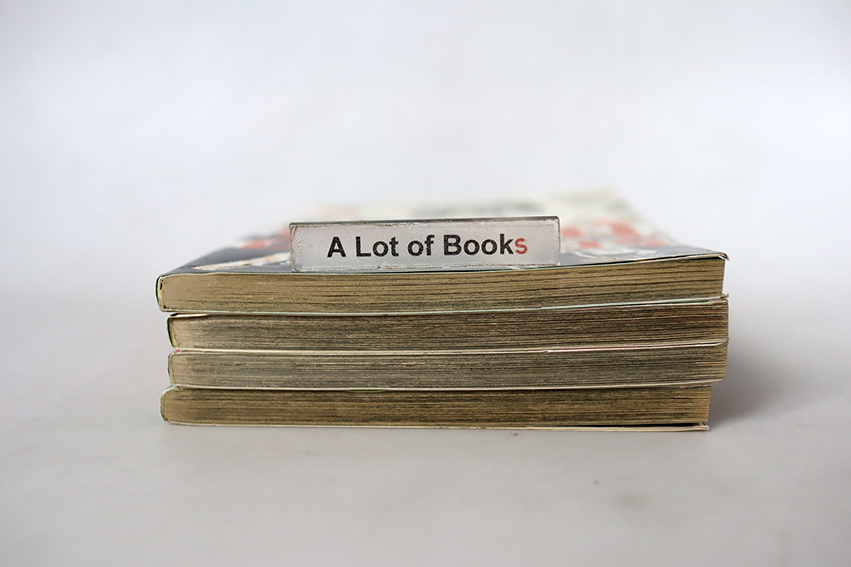 ซอมบี้ฮันเตอร์ Zombie hunter ( 4 เล่มจบ )