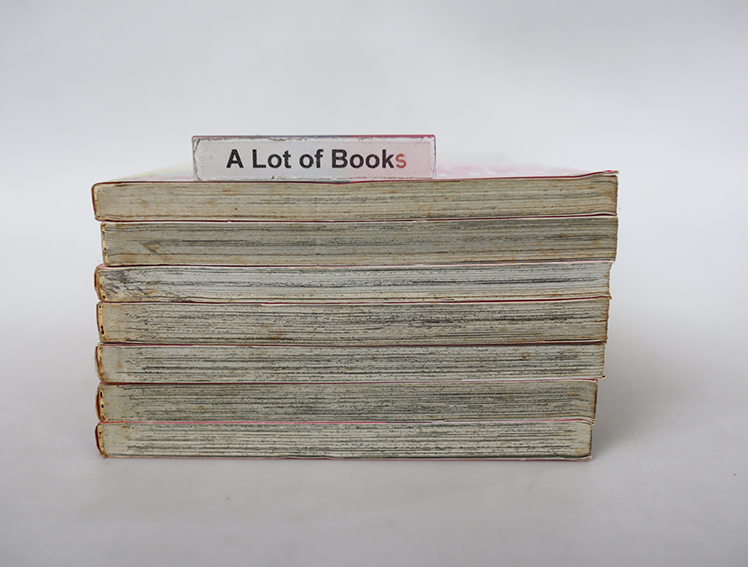 Boys เอสเต้ ( 7 เล่มจบ )