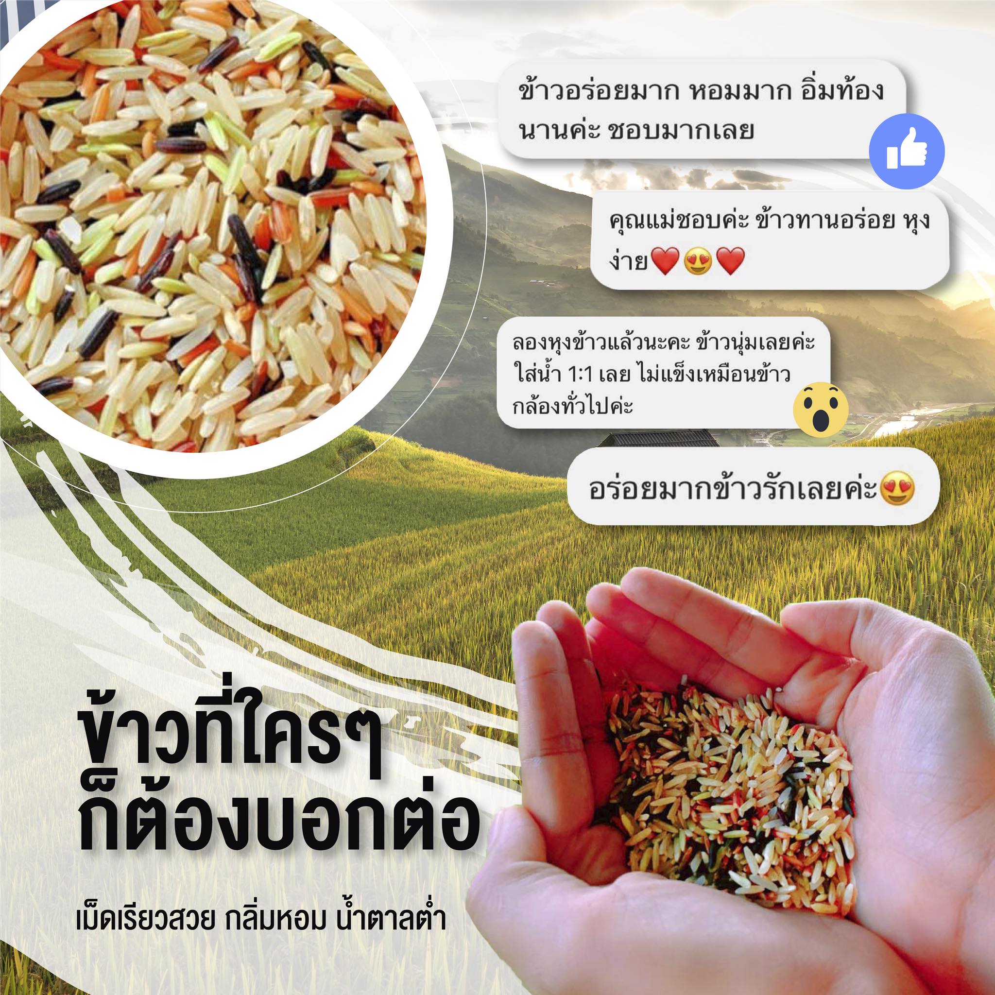 ข้าว 3 สี สายรักสุขภาพ