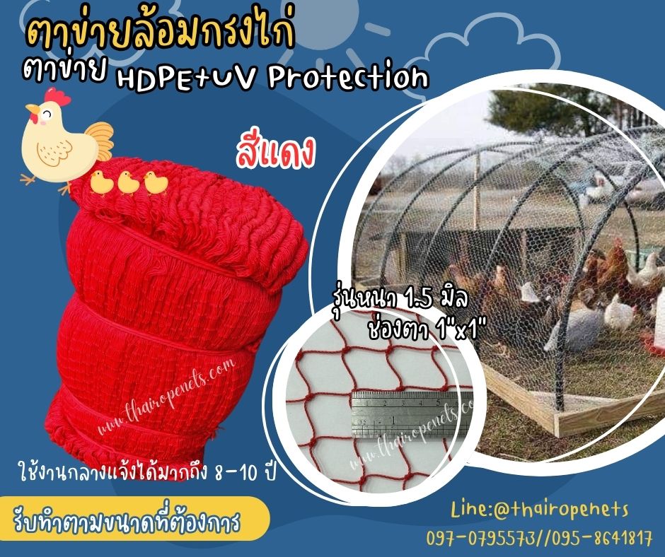 ตาข่ายทำสุ่มไก่ HDPE สีแดง รุ่นหนา 1.5 มิล ช่องตา 1x1 นิ้ว เคลือบสารป้องกัน UV ทนแดด ทนฝน ใช้งานกลางแจ้ง มากกว่า 8-10 ปี