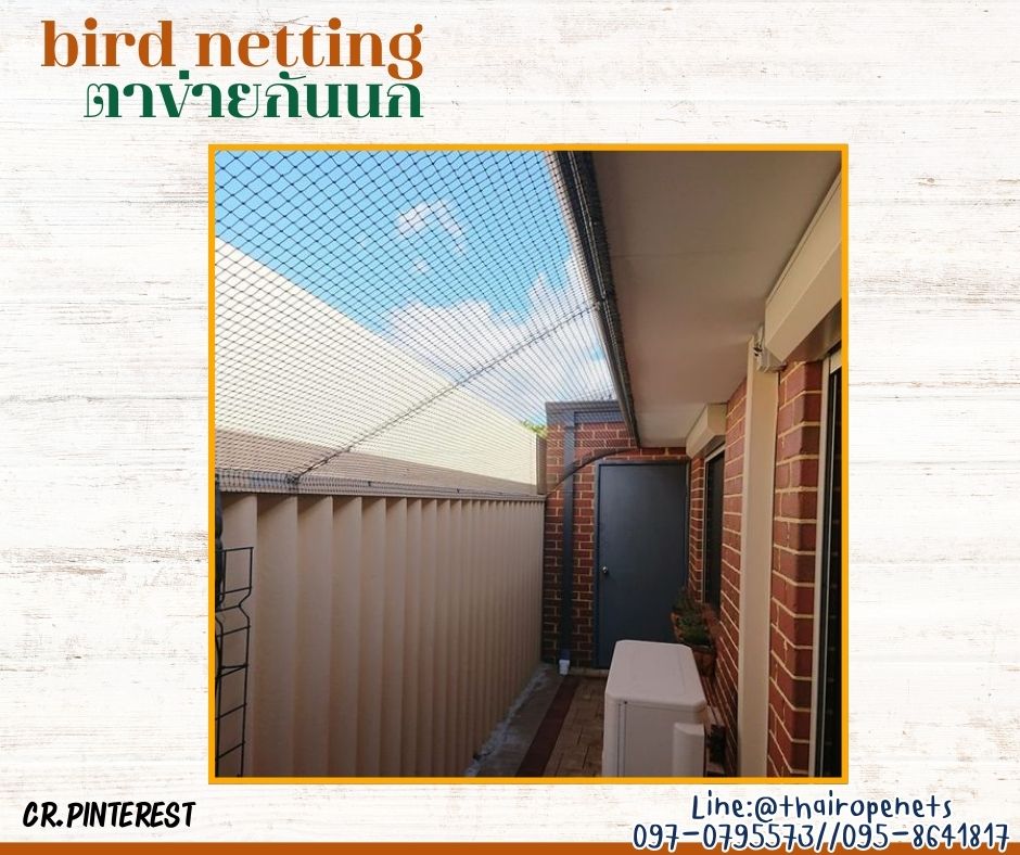 ตาข่ายกั้นเขตบริเวณกั้นนก bird netting สีเขียวขี้ม้า ความสูง 5 เมตร รุ่นหนา 1 มิล ช่องตา 2x2 cm. กดเลือกความยาวตามต้องการได้เลยค่ะ