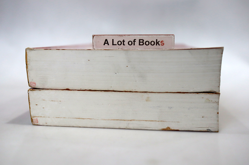 มรสุมโลหิต ( 2 เล่มจบ )