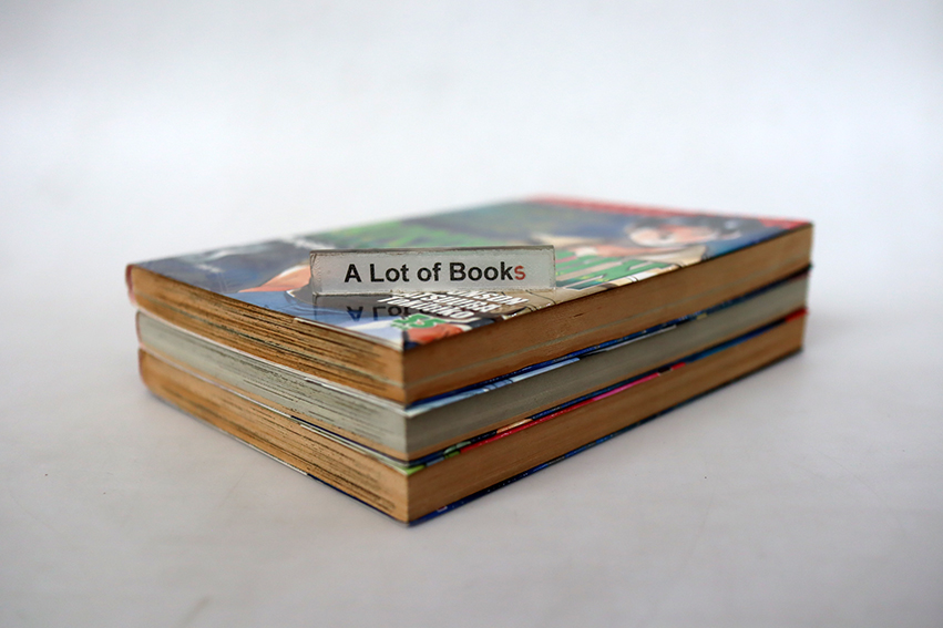 Rising sun เผ่าสุริยัน พันธุ์อันตราย ( 3 เล่มจบ )