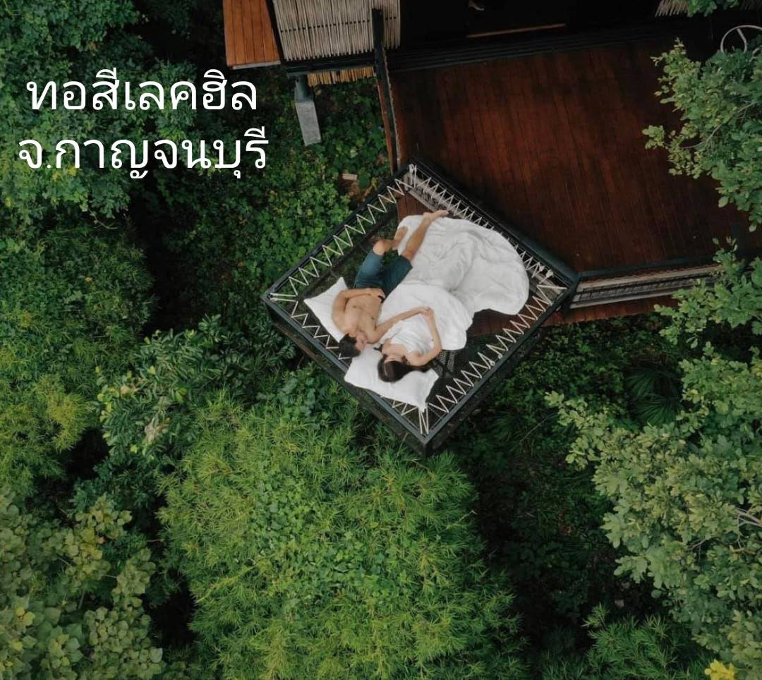 Hammock เปลตาข่ายนั่งเล่น ตาข่ายเช็คอินคาเฟ่ ตาข่ายกันตก