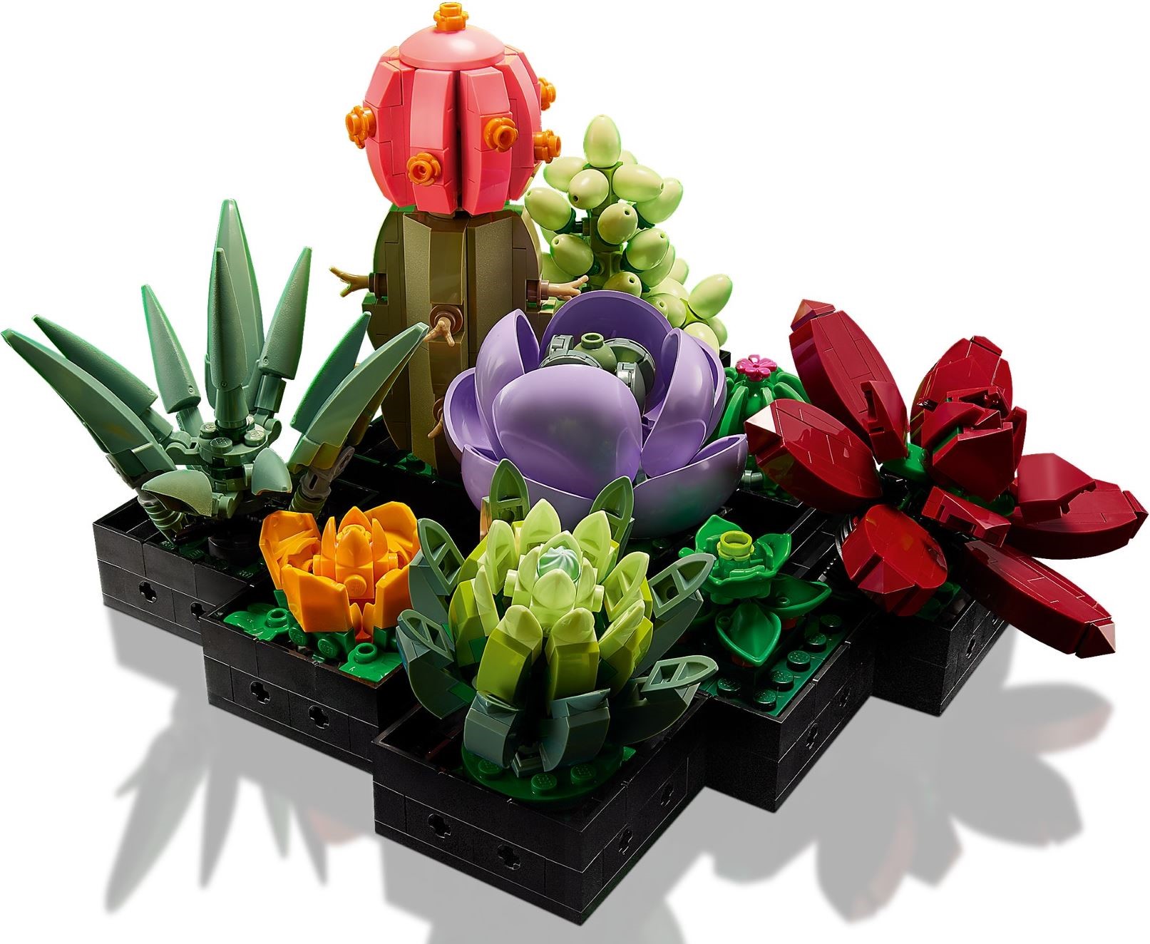 LEGO เลโก้ 10309 Succulents