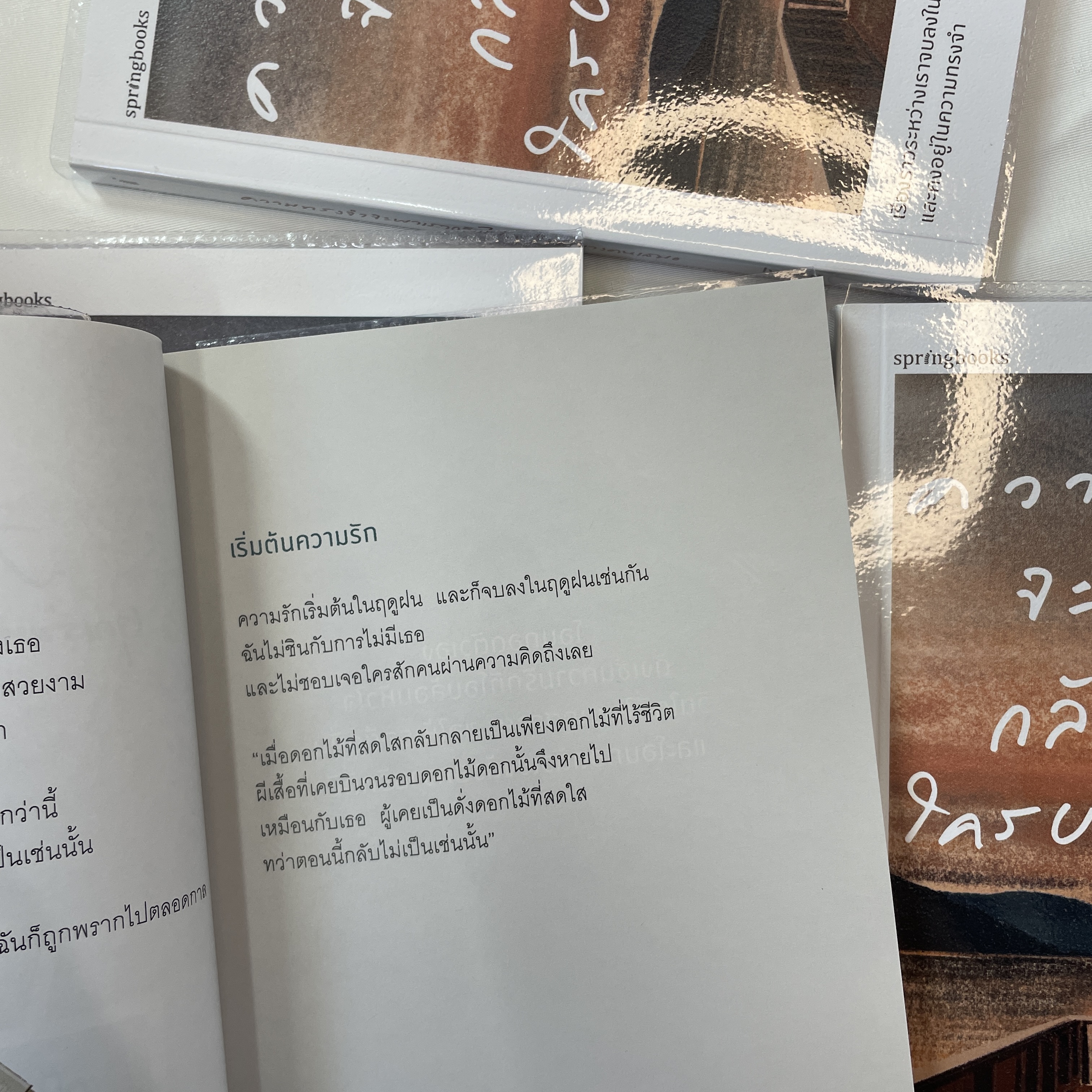 ความทรงจำจะพาเรากลับไปเจอใครบางคนเสมอ /ผู้เขียน: Lwloli /สำนักพิมพ์: Springbooks