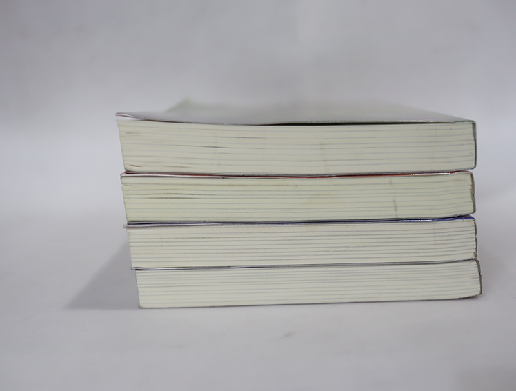 ลำนำรักเทพสวรรค์ ภาคหนึ่ง ( 4 เล่มจบ )