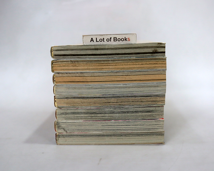 ES เอส ( 8 เล่มจบ )