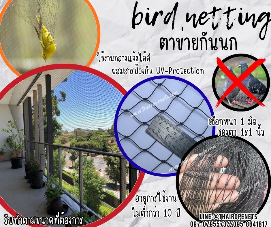 ตาข่ายกันนก ดักนก bird netting สีดำ เชือกหนา 1 มิล ช่องตา1x1 นิ้ว ตาข่ายกันนกเข้าแปลงผัก เข้าอาคาร ทำตามขนาดที่ต้องการ