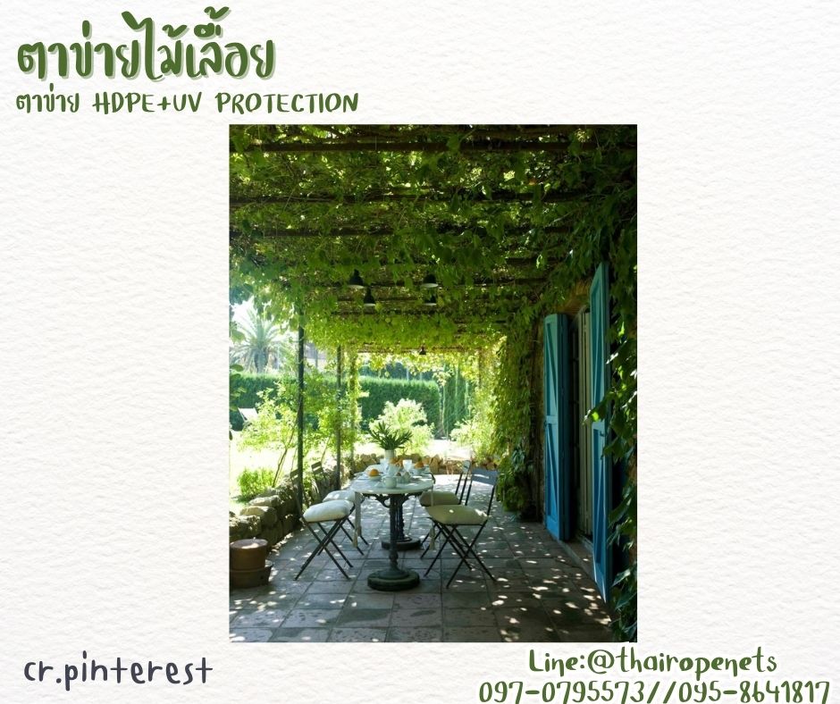 ตาข่ายตกแต่งสวน ตาข่ายค้างผัก ตาข่าย HDPE ขนาดผืนใหญ่ ยกม้วน 20x50 เมตร ผสมสารป้องกัน UV ใช้งานได้ยาวนาน