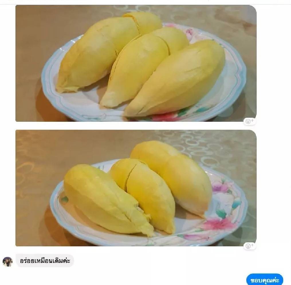 ทุเรียน เกรดพรีเมียม