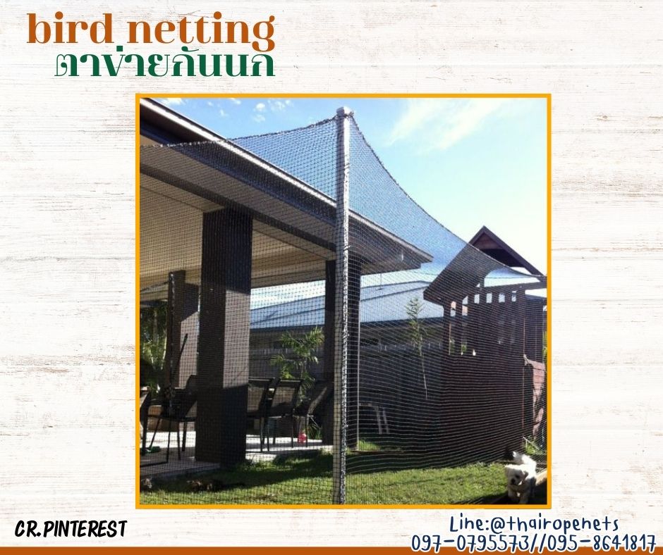 ตาข่ายกั้นเขตบริเวณกั้นนก bird netting สีเขียวขี้ม้า ความสูง 5 เมตร รุ่นหนา 1 มิล ช่องตา 2x2 cm. กดเลือกความยาวตามต้องการได้เลยค่ะ