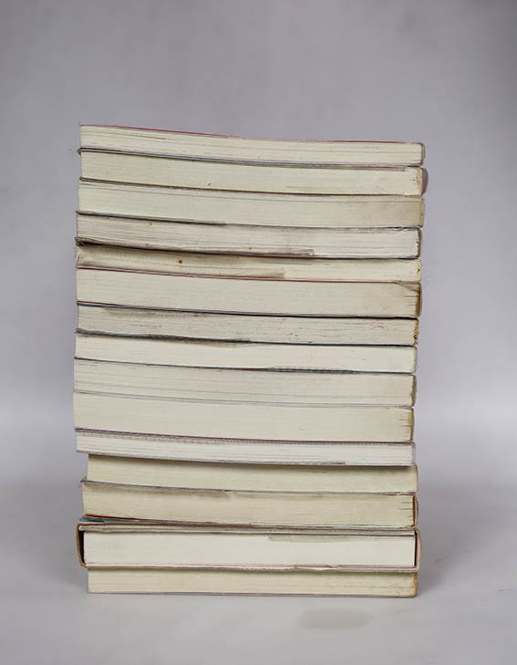 นิยายแจ่มใส เลิฟซีรี่ย์