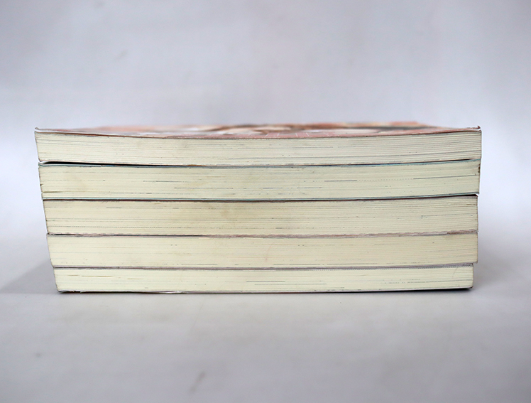 นิยายแจ่มใส เลิฟซีรี่ย์ - Hideko_Sunshine