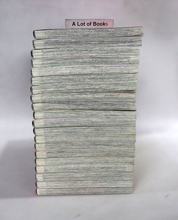 สาวซ่าจีบหนุ่มโอตาคุ ( 20 เล่มจบ )