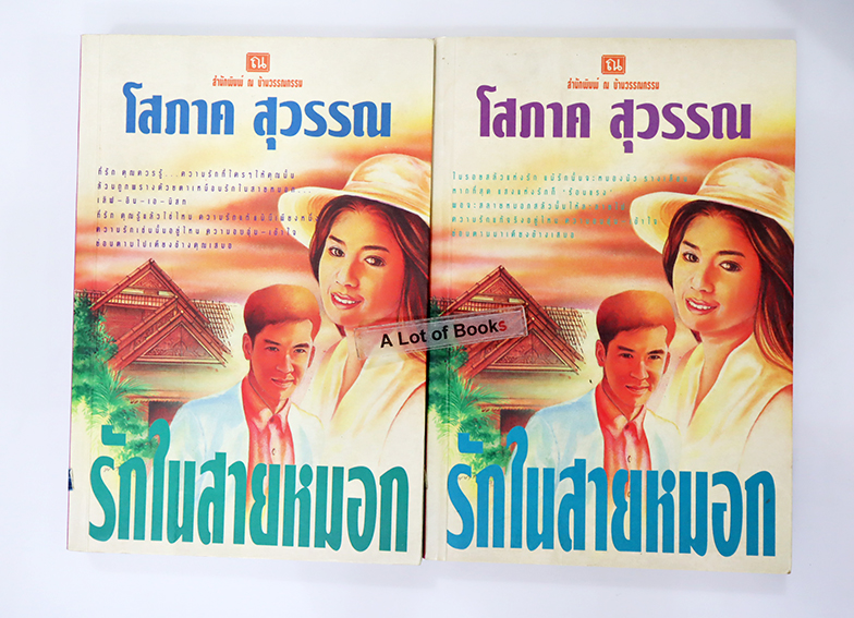 รักในสายหมอก ( 2 เล่มจบ )