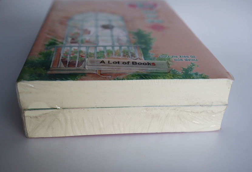 สะดุดรักยัยถังข้าว ( 2 เล่มจบ )