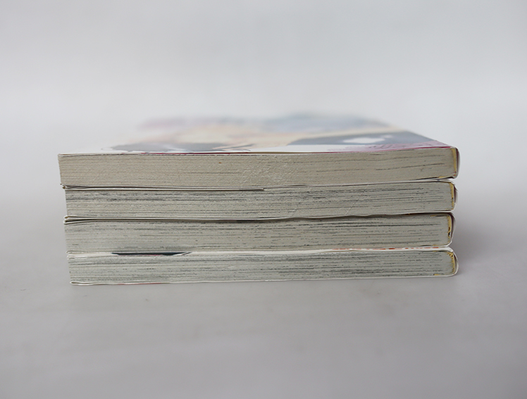 ติวรักคุณครูสุดฮอต ( 4 เล่มจบ )