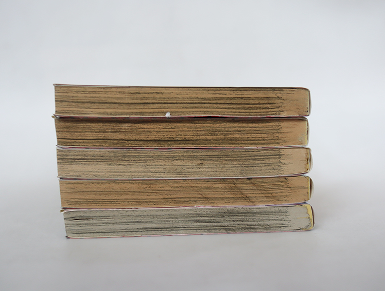 ศึกข้ามฟ้า ซามูไรข้ามยุค ( 5 เล่มจบ )