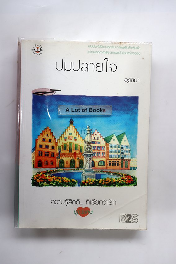 ปมปลายใจ