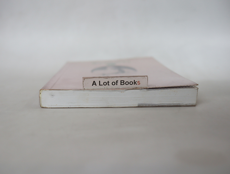 ชีวิตในวัง เล่ม 2