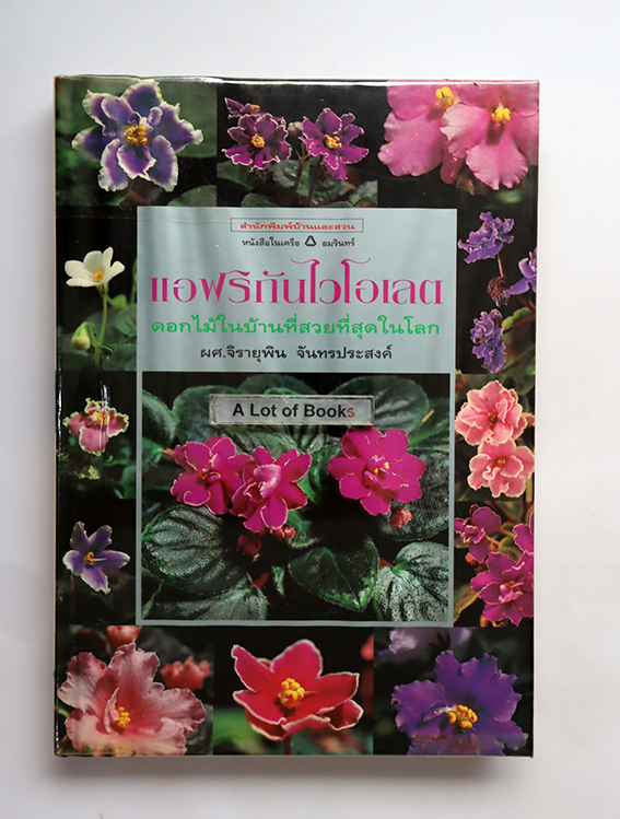 แอฟริกันไวโอเลต