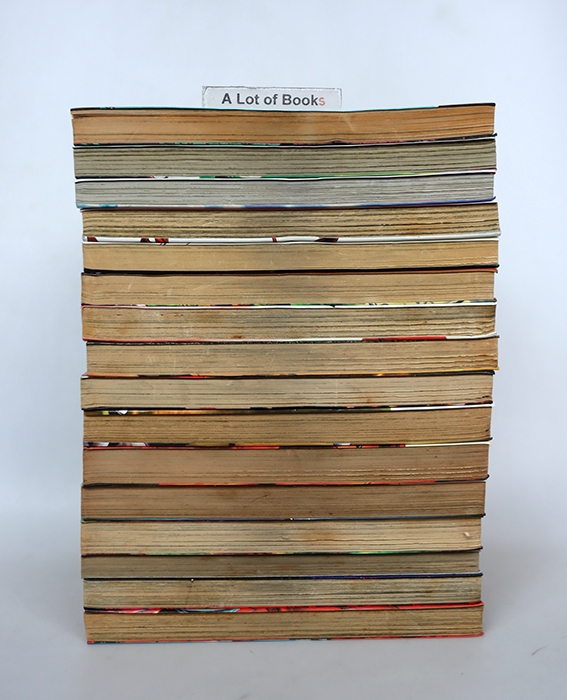 ตำนานหน้ากากมด Masked Riders ( 16 เล่มจบ )