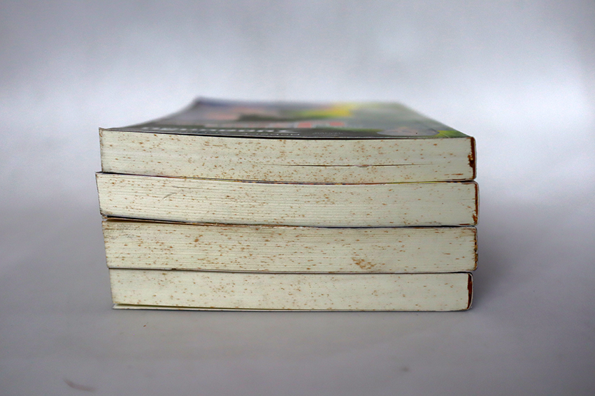 3 ยอดนักสืบ