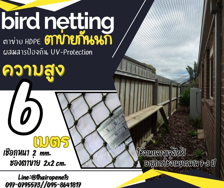 ตาข่ายดักนก กันนก bird netting ความสูง 6 เมตร รุ่นเชือกหนา 2 มิล ช่องตา 2 cm. สีดำ กดเลือกความยาวตามต้องการได้เลยค่ะ