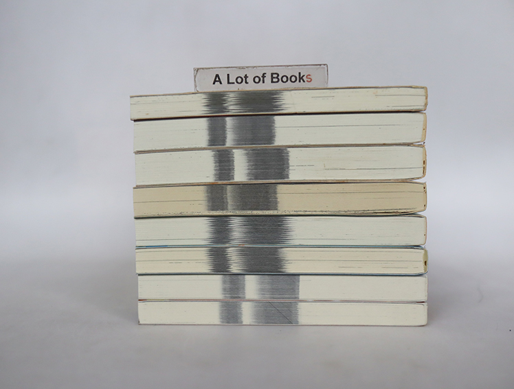 Double Spiral เล่ม 1-8 (ยังไม่จบ )