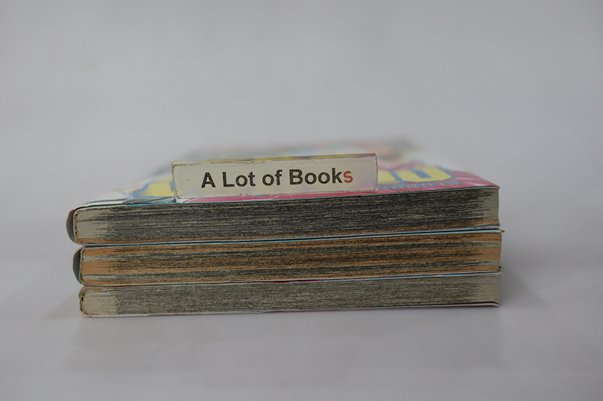 จอมช่างอหังการ์ ( 3 เล่มจบ )