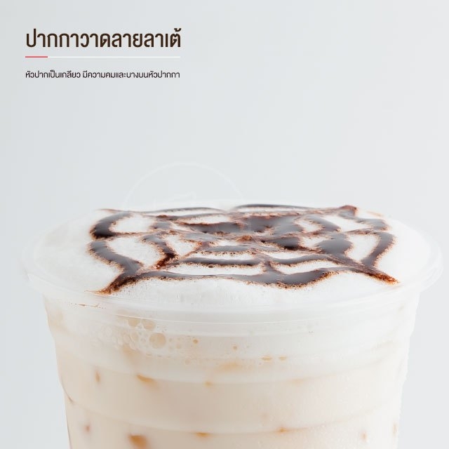 ปากกาวาดลายลาเต้ แบบหัวเข็ม สแตนเลสสตีล บรรจุ (1 ชิ้น) จำหน่ายโดย ทีอีเอ