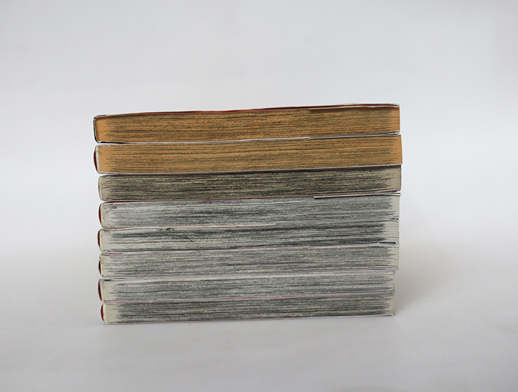 ปริศนาโรงเรียนไฮโซ ( 8 เล่มจบ )