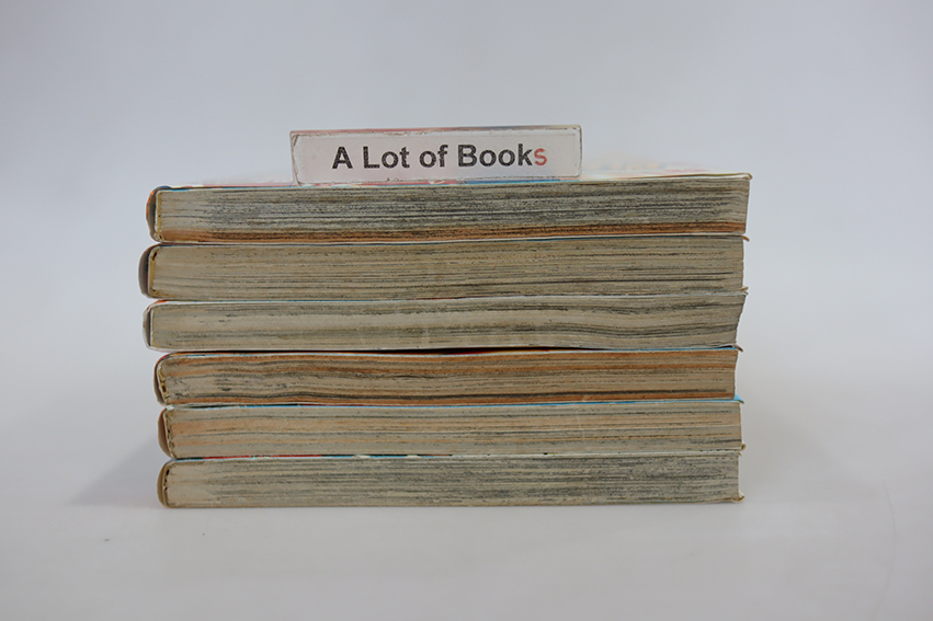 ถึงเป็นปลาก็กล้าสู้ ( 6 เล่มจบ )