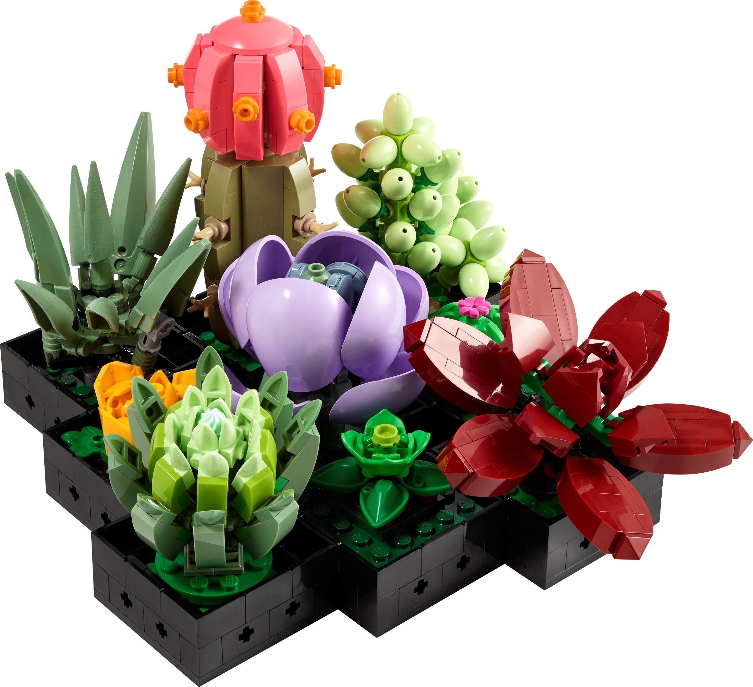 LEGO เลโก้ 10309 Succulents