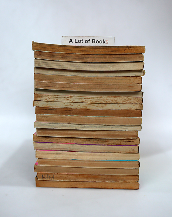 การ์ตูนตาหวาน เล่มเดียวจบ สนพ.สยาม ชุด 6