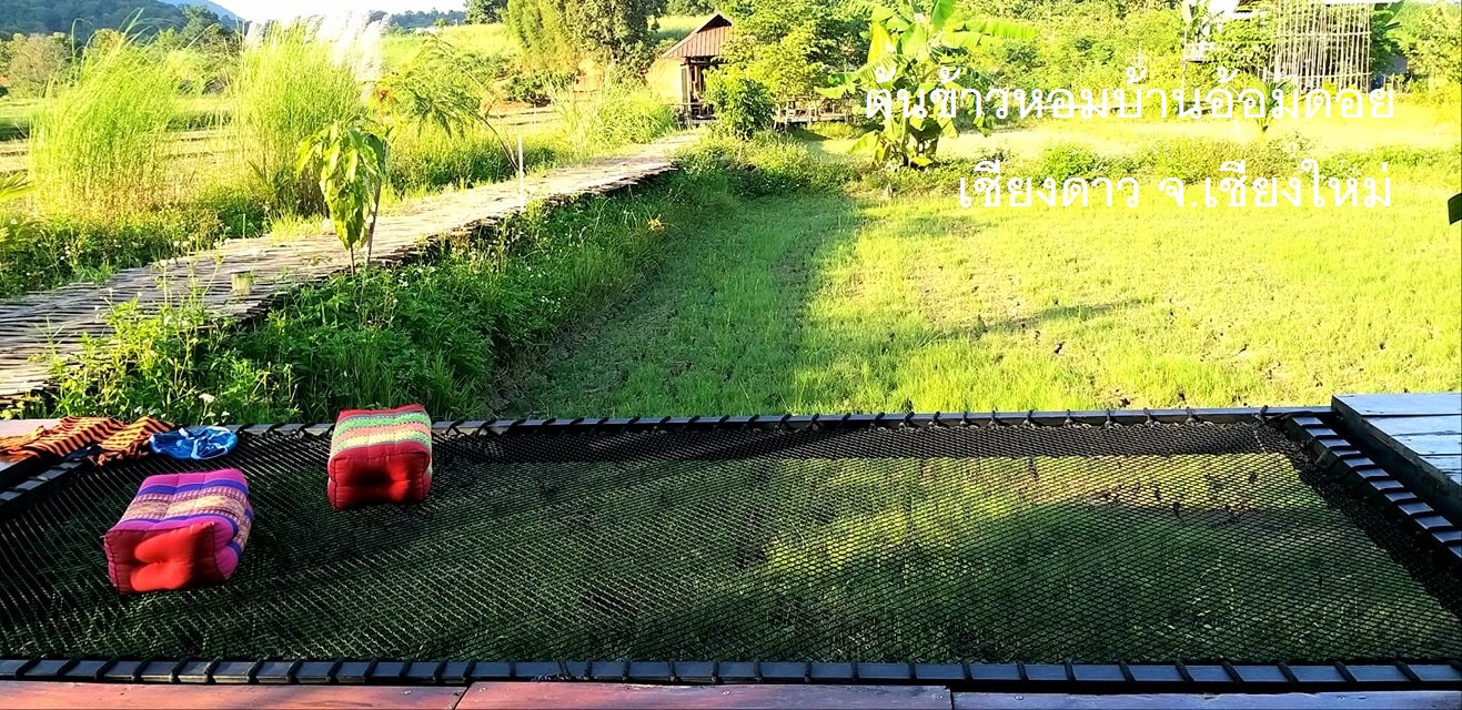 ตาข่ายชมวิว ตาข่ายนั่งเล่น ตาข่ายริมน้ำ ตาข่ายร้านอาหาร 💎แถมเชือกมัดติดตั้ง💎 มีหลายขนาดให้เลือก💎
