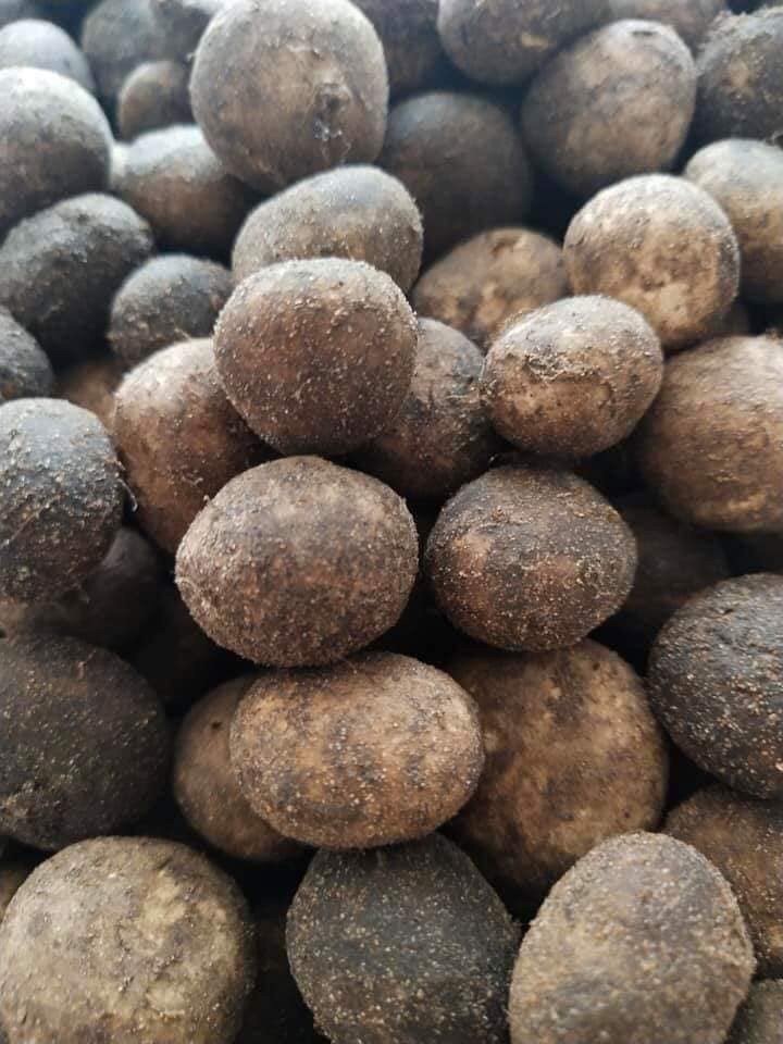 เห็ดเผาะ