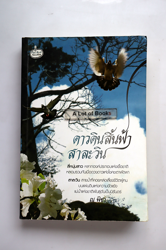ดาวดินสิ้นฟ้าสาละวิน