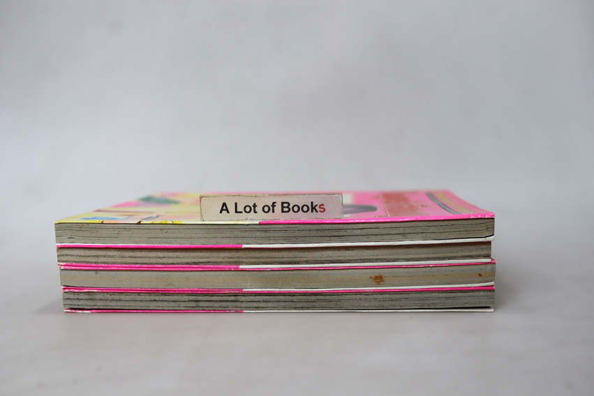 ไข่มุกรักสีชมพู ( 4 เล่มจบ )