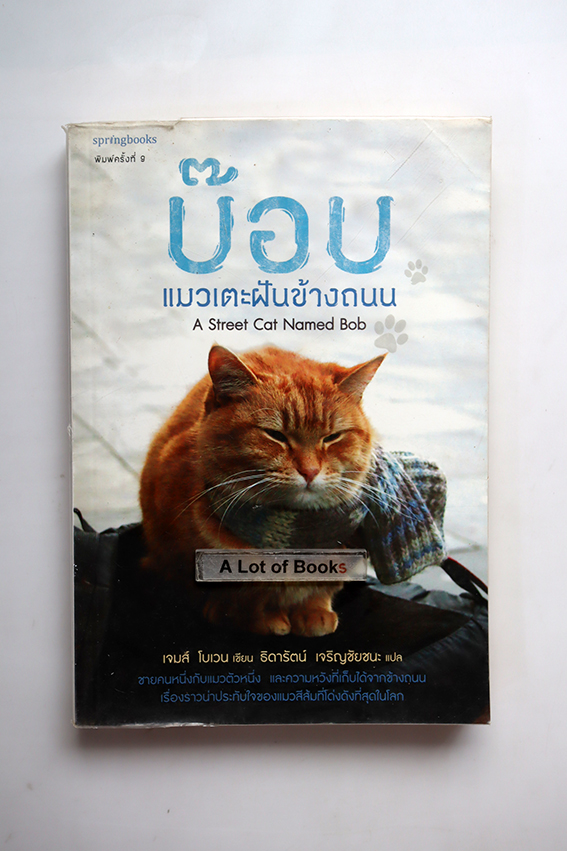 บ๊อบ แมวเตะฝันข้างถนน