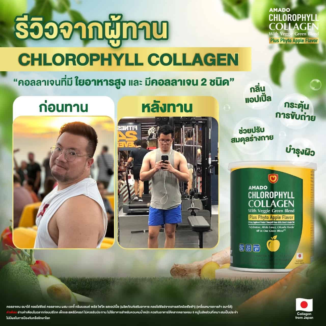 Amado Chlorophyll เชน