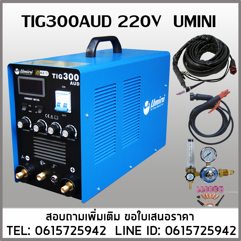 เครื่องเชื่อม TIG300AUD UMINI 220V 2ระบบ