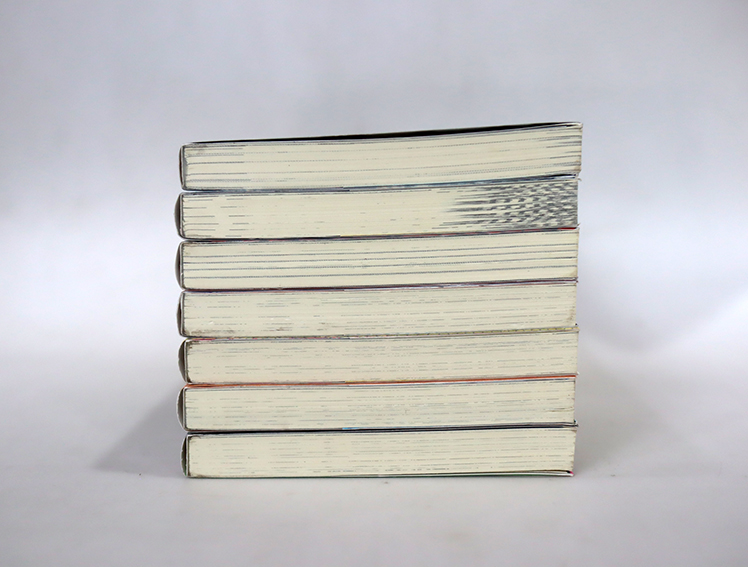 My hero academia มายฮีโร่ อคาเดมีย (ฉบับนิยาย)