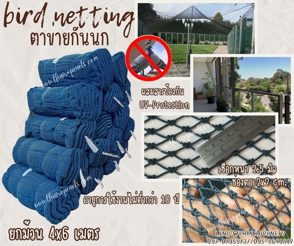 bird netting แบบยกม้วน ตาข่ายกันนก สีฟ้าอมเขียว เชือกหนาพิเศษ 2.5 มิล ช่องตา 2x2 cm.ตาข่ายกันนกเข้าในตึก ในบ้าน